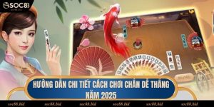 Hướng Dẫn Chi Tiết Cách Chơi Chắn Dễ Thắng Năm 2025