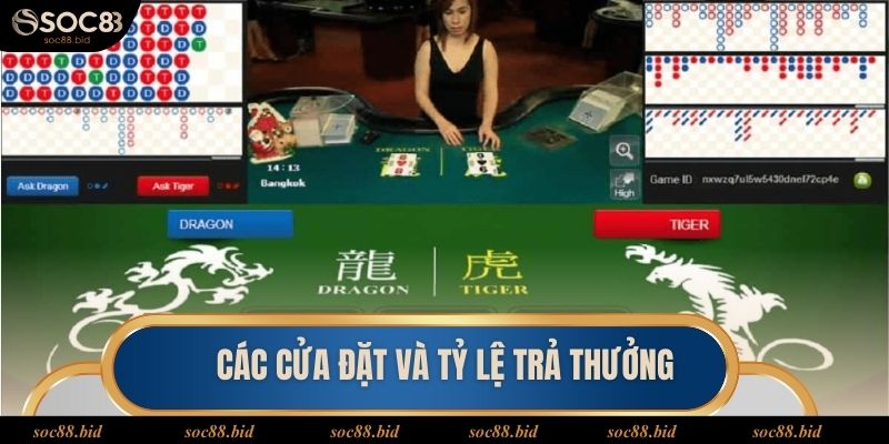Cách Chơi Rồng Hổ - Hướng Dẫn Tham Gia Hiệu Quả Tại SOC88 Các thuật ngữ trong cách chơi Rồng Hổ tại SOC88