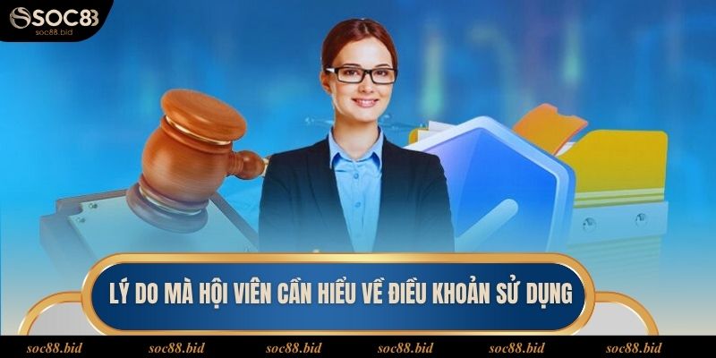 Điều Khoản Sử Dụng Lý do mà hội viên cần hiểu về điều khoản sử dụng